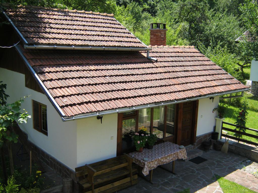 Villa Lalka Ribaritsa Buitenkant foto